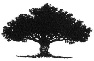 cn_tree.jpg (3918 bytes)